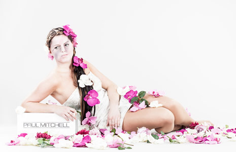 在线呼死你轰炸